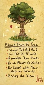 advice-from-a-tree